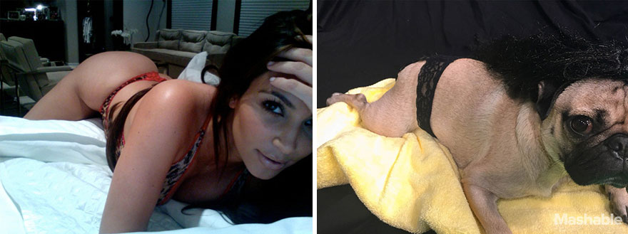 Este perro pug recrea los selfies más sexys de Kim Kardashian e internet no los distingue