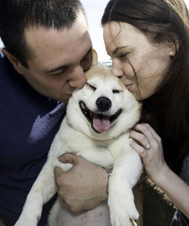 Este es Cinnamon, un perro feliz que nunca deja de sonreír a pesar de sus enfermedades