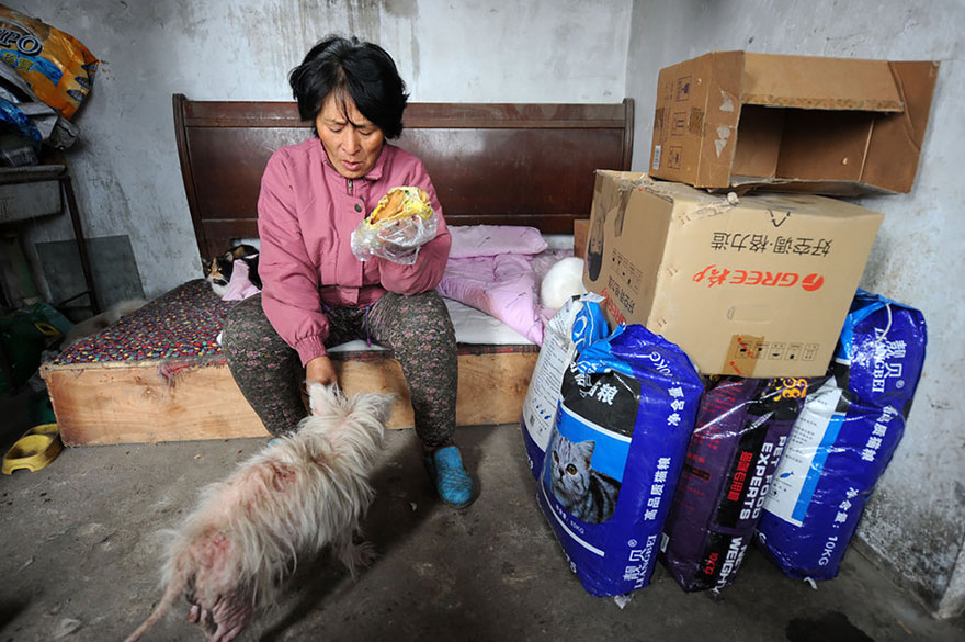 perros-rescatados-festival-yulin-china (10)