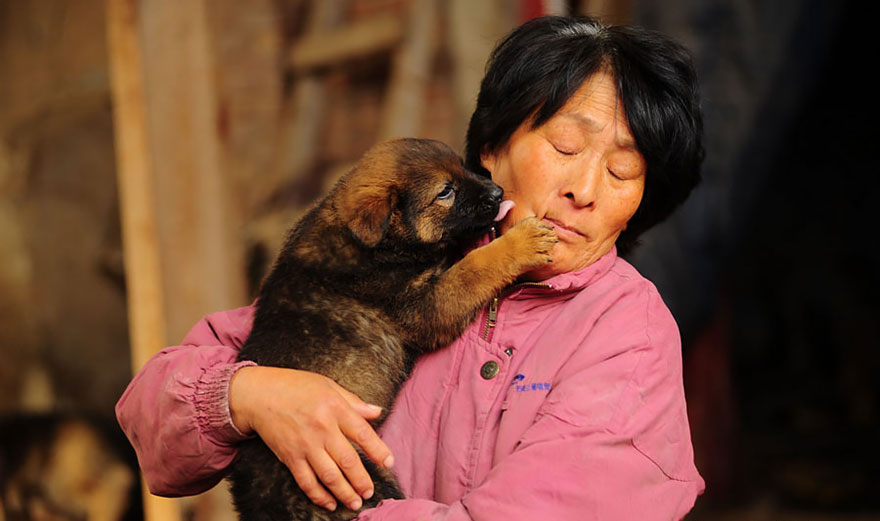 perros-rescatados-festival-yulin-china (16)