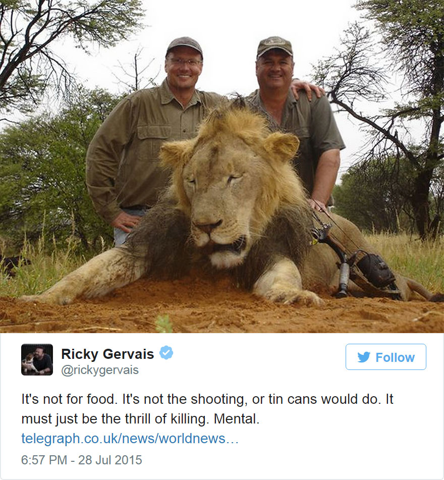 Tras matar a un famoso león, el cazador se ve obligado a cerrar su clínica dental por el odio suscitado en internet