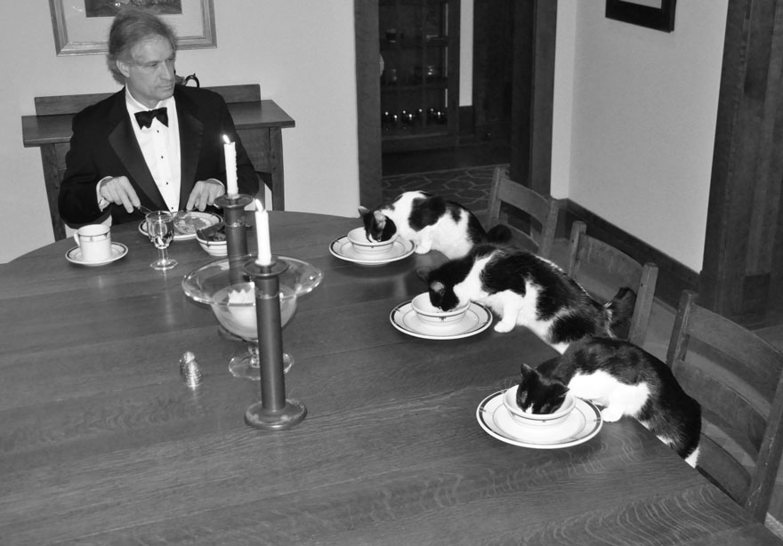 Cuando su esposa está de vacaciones, este hombre hace en secreto cenas elegantes con sus gatos