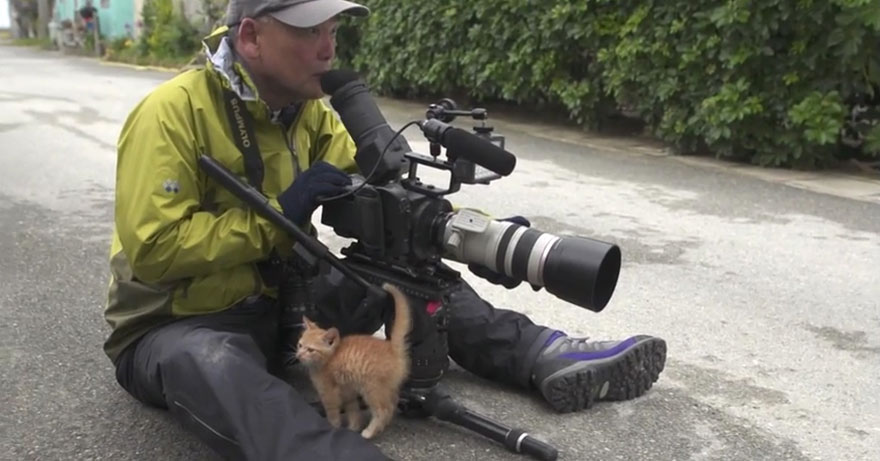 Este gatito callejero se hace amigo de un famoso fotógrafo usando sus irresistibles encantos felinos