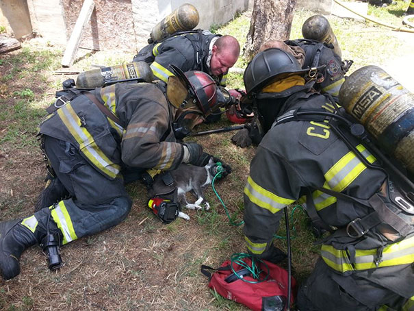 Los bomberos salvan a un gato inconsciente con una máscara de oxígeno especial para mascotas