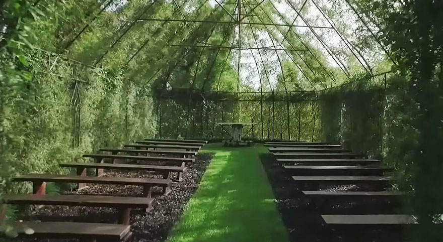 Este hombre pasó 4 años cultivando una iglesia hecha con árboles