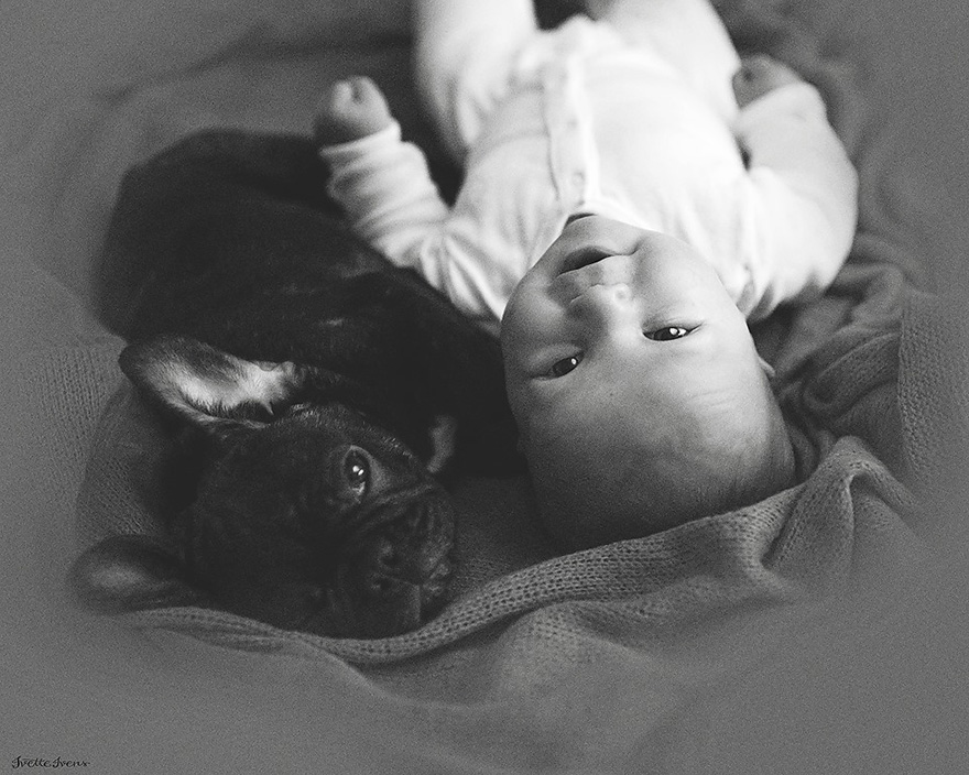 Un bebé y un bulldog nacidos en el mismo día se creen que son hermanos y hacen todo juntos