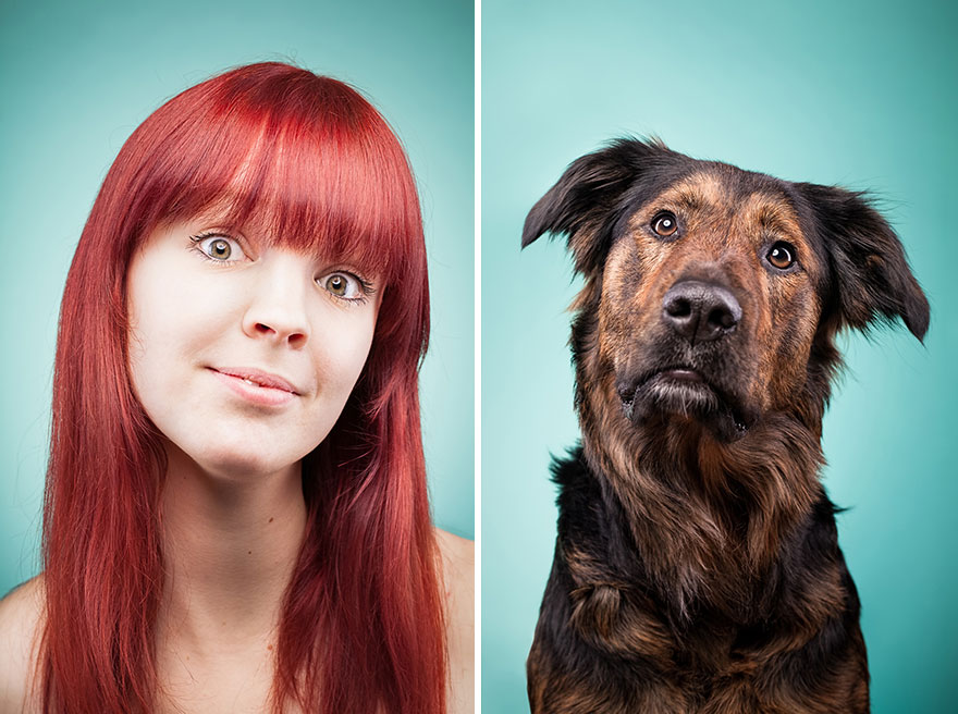 De tal dueño, tal perro: Capto a los dueños imitando a sus mejores amigos