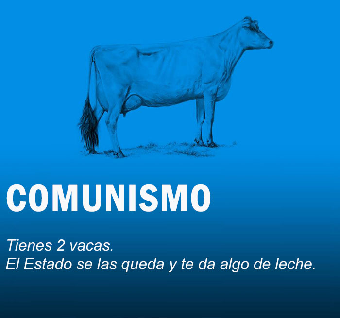 economia-explicada-vacas-1