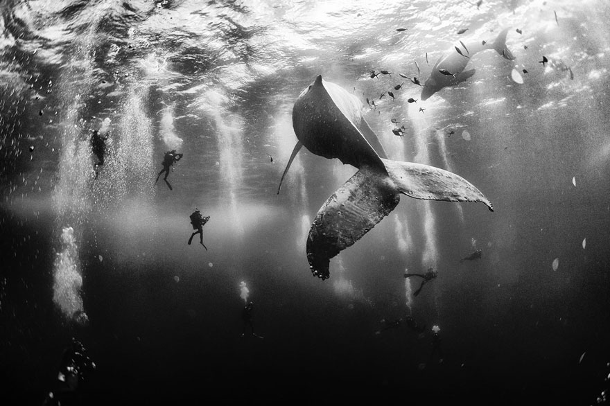 Los ganadores de la edición de 2015 del Concurso de fotos de viajeros de National Geographic