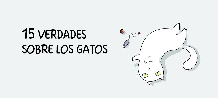 15 Verdades ilustradas sobre los gatos