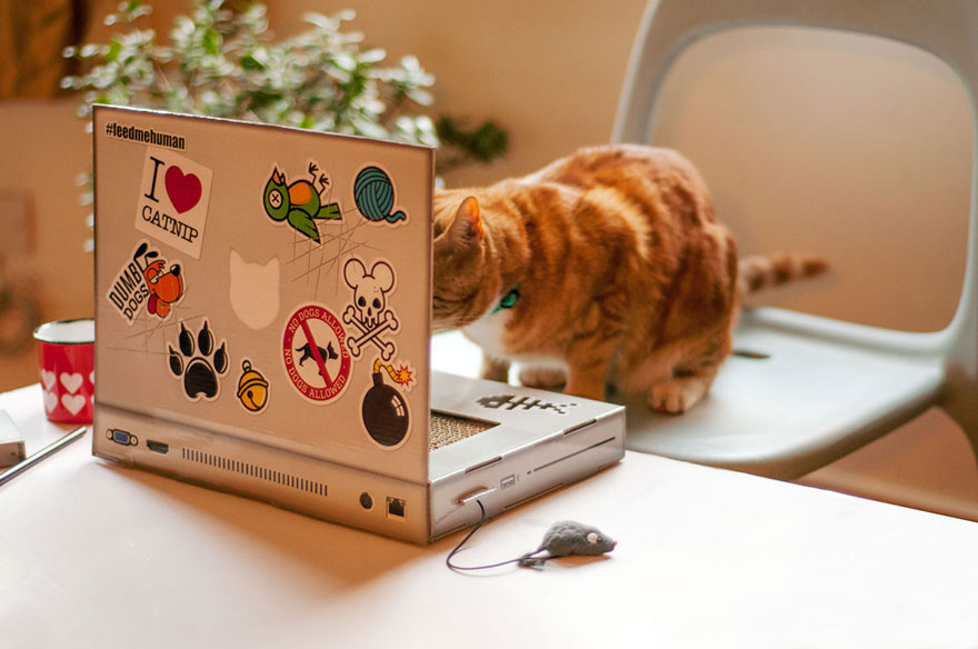 Este rascador en forma de portátil permite a tu gato "trabajar" con el ordenador sin destrozar el tuyo