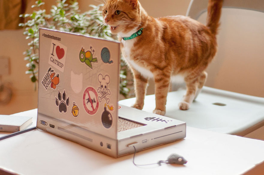 Este rascador en forma de portátil permite a tu gato "trabajar" con el ordenador sin destrozar el tuyo