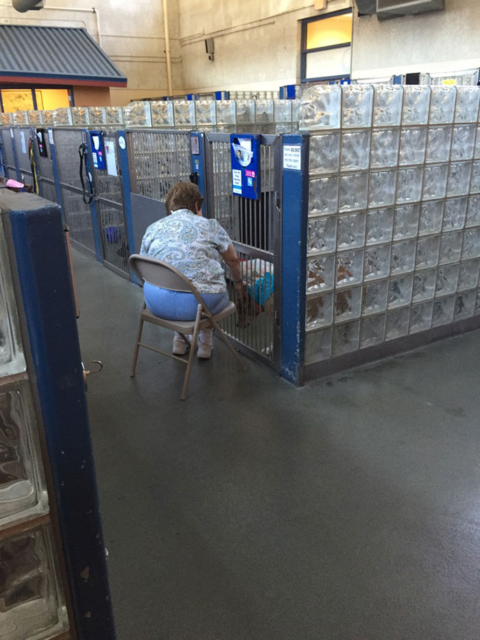 Esta mujer va a leer a los perros viejos de los refugios para que se sientan menos solos