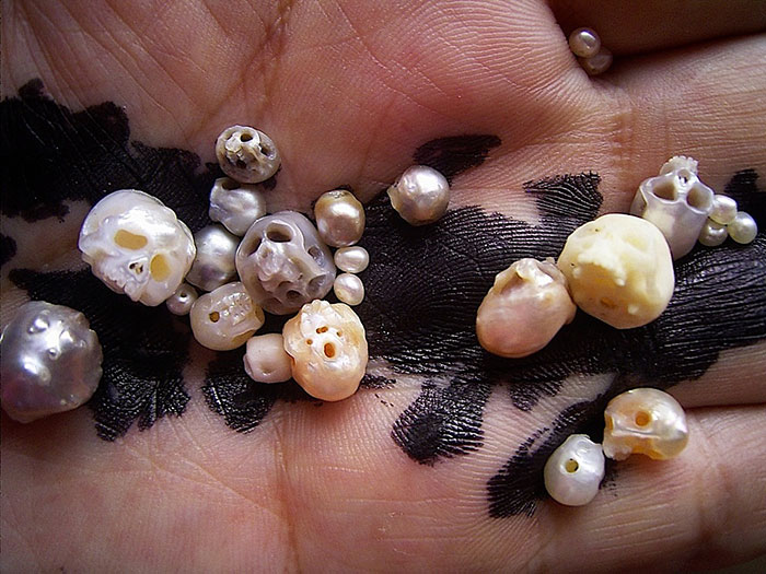 perlas-talladas-calaveras-vanitas-shinji-nakaba (1)