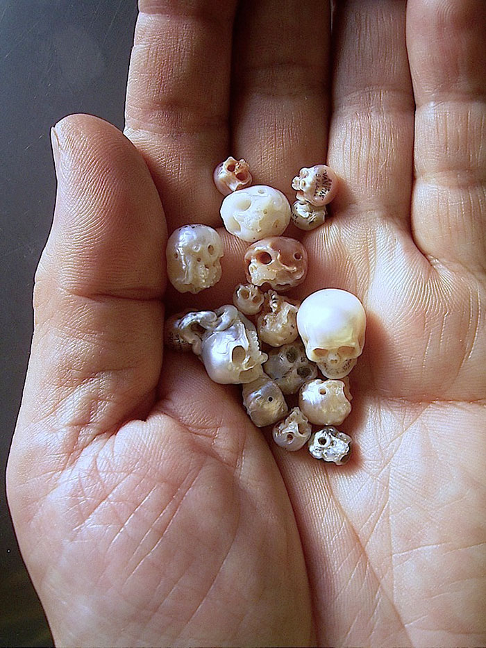perlas-talladas-calaveras-vanitas-shinji-nakaba (8)