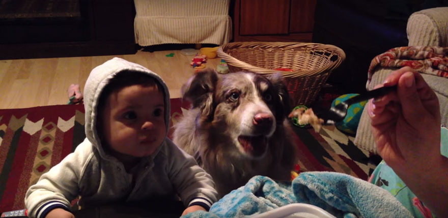Una madre ofrece una golosina a su hijo si dice "mamá" y el perro lo dice antes