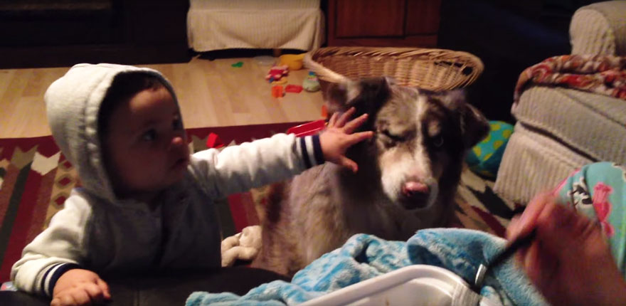 Una madre ofrece una golosina a su hijo si dice "mamá" y el perro lo dice antes
