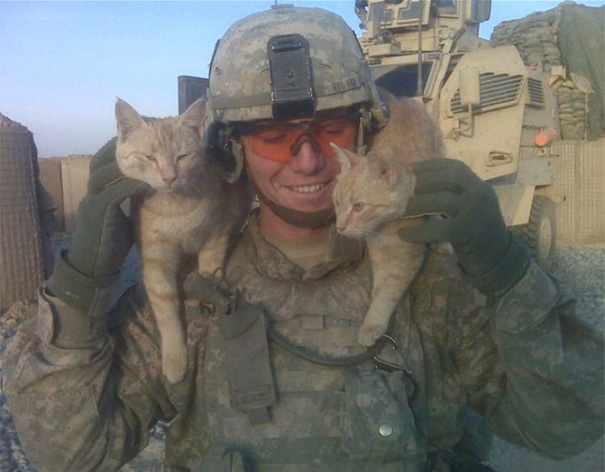 soldados-con-gatos (10)