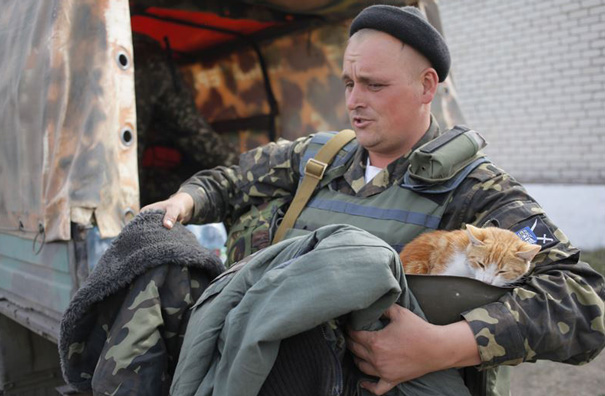soldados-con-gatos (14)