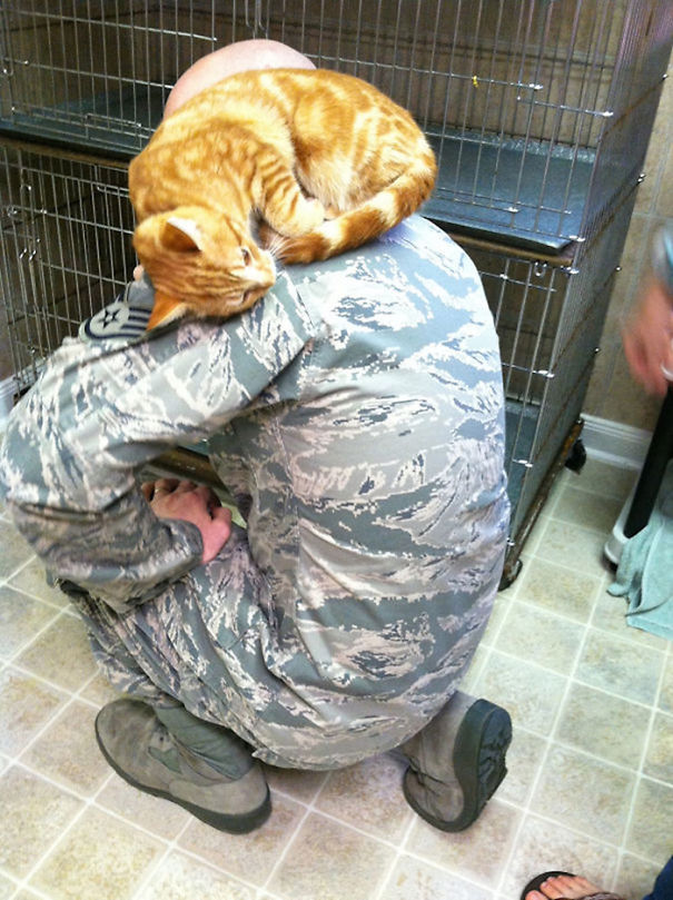 soldados-con-gatos (17)