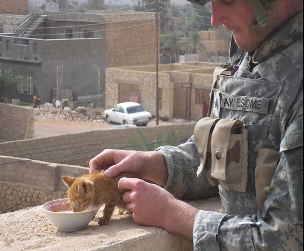 soldados-con-gatos (6)