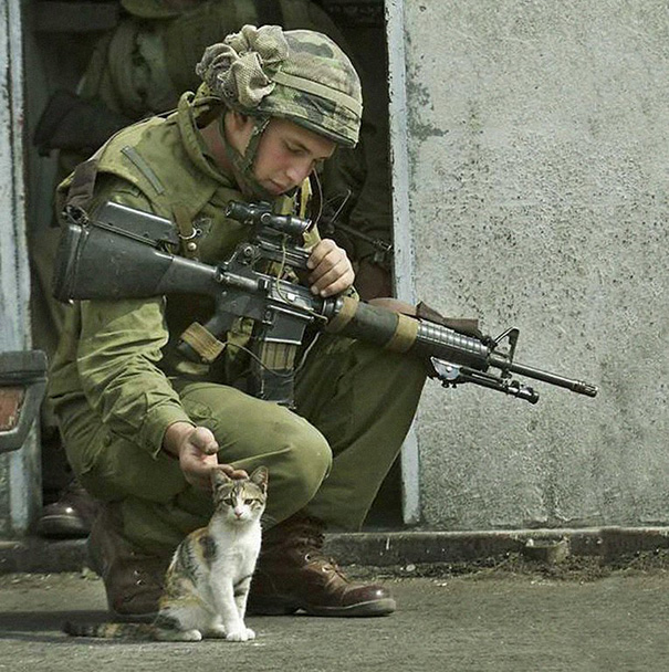 soldados-con-gatos (7)