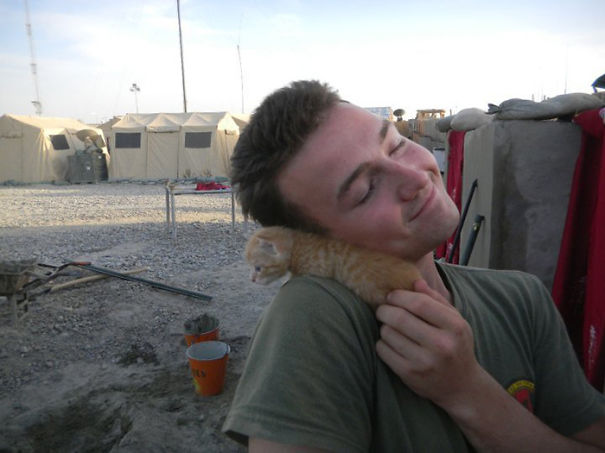 soldados-con-gatos (9)