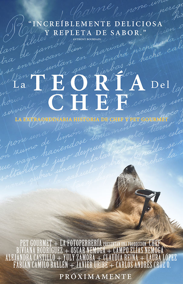 Un Perro Recrea Posters De Películas Nominadas A Los Pasados Premios De La Academia