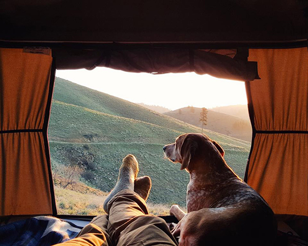El instagram "Camping with dogs" te inspirará para llevarte a tu perro de acampada