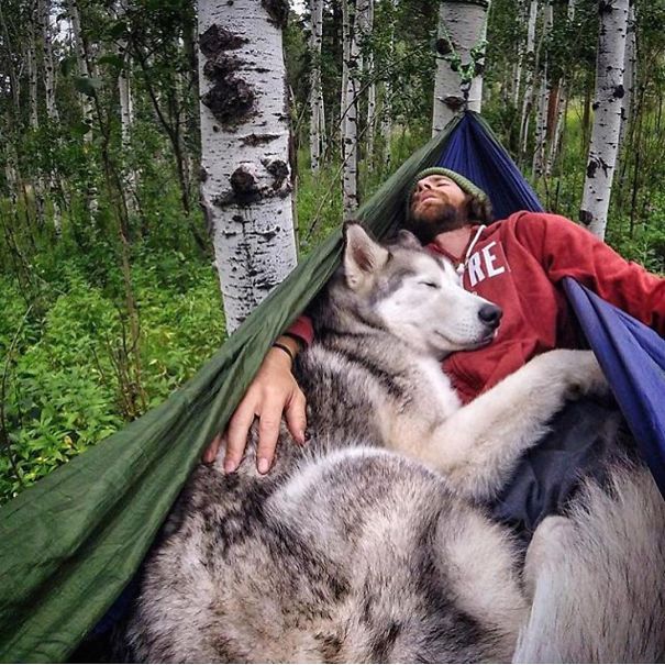 El instagram "Camping with dogs" te inspirará para llevarte a tu perro de acampada