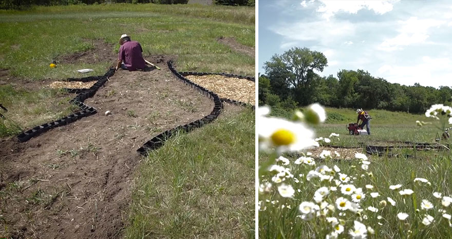 Este artista plantó un campo de casi 5 kms² para recrear un cuadro de Van Gogh
