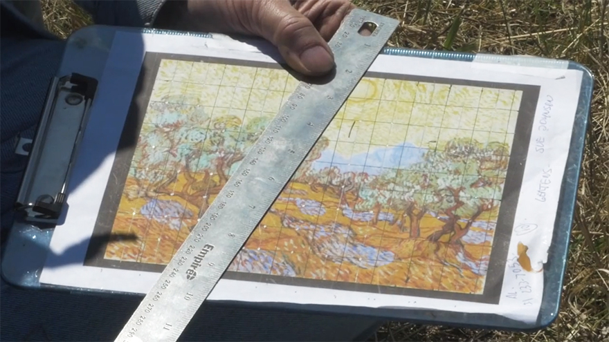 Este artista plantó un campo de casi 5 kms² para recrear un cuadro de Van Gogh