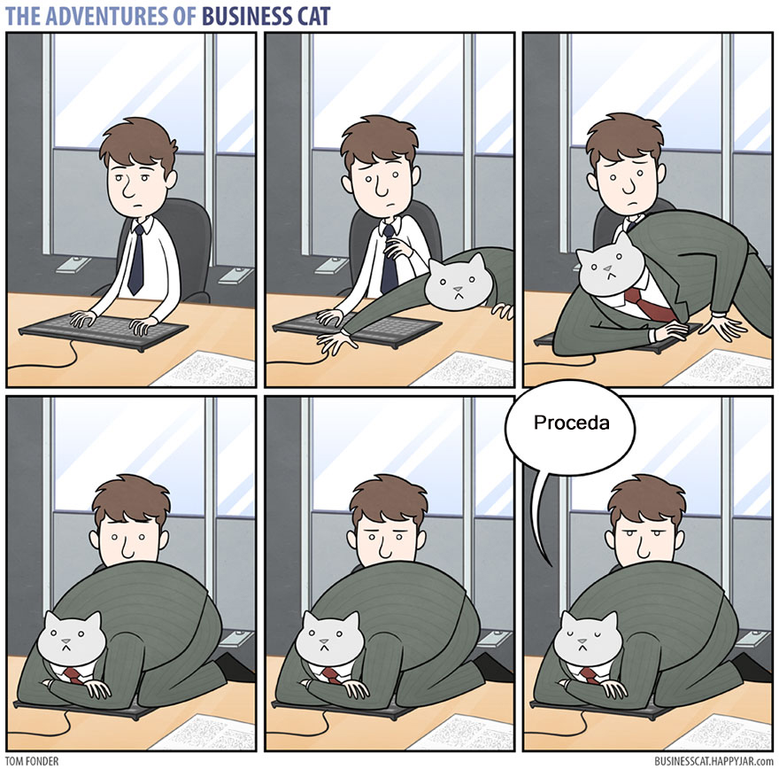comic-aventuras-gato-negocios-tom-fonder-4