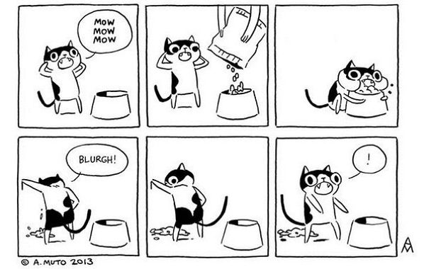 15 Divertidos cómics que muestran la realidad de tener gato