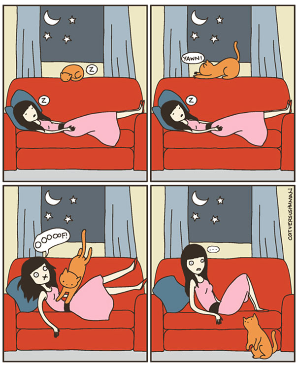 15 Divertidos cómics que muestran la realidad de tener gato