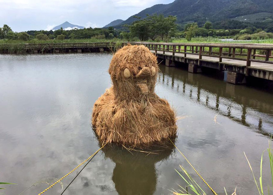 Enormes dinosaurios de paja invaden los campos japoneses tras la cosecha de arroz
