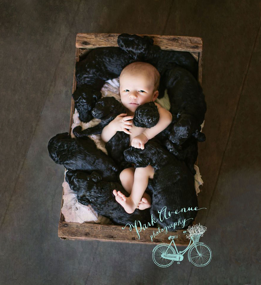 Una mujer y su perro tuvieron bebés el mismo día, así que hicieron una sesión de fotos adorable