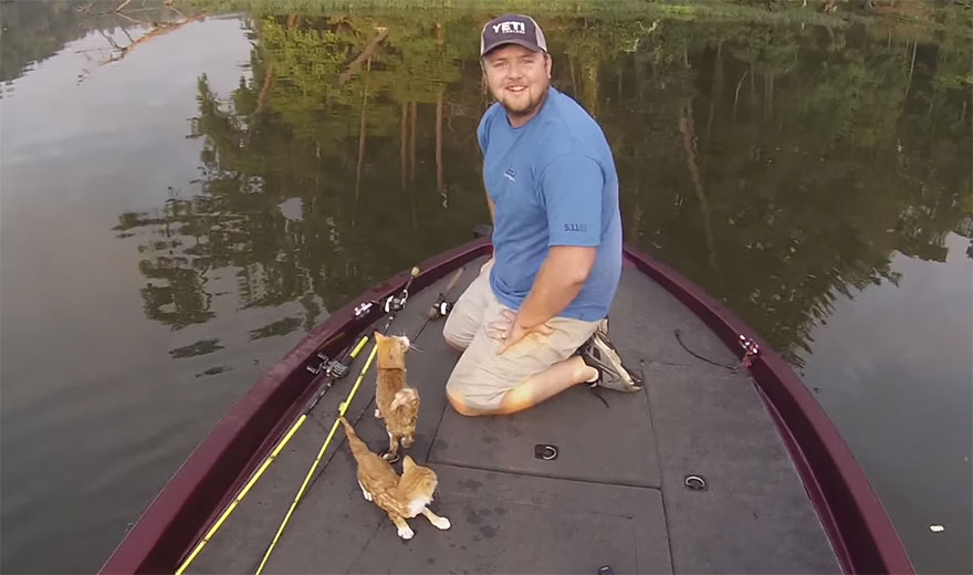 Estos 2 hombres fueron a pescar y acabaron recogiendo gatitos abandonados