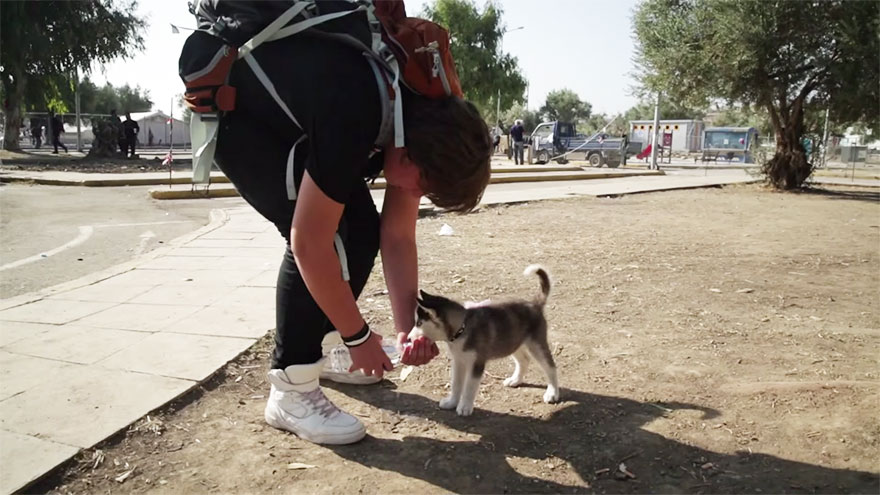 Este refugiado sirio de 17 años llevó a su cachorro durante 500 kms hasta Grecia