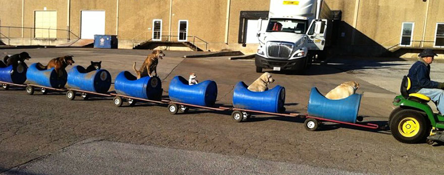 Este octogenario construyó un tren para llevarse de aventuras a los perros callejeros rescatados