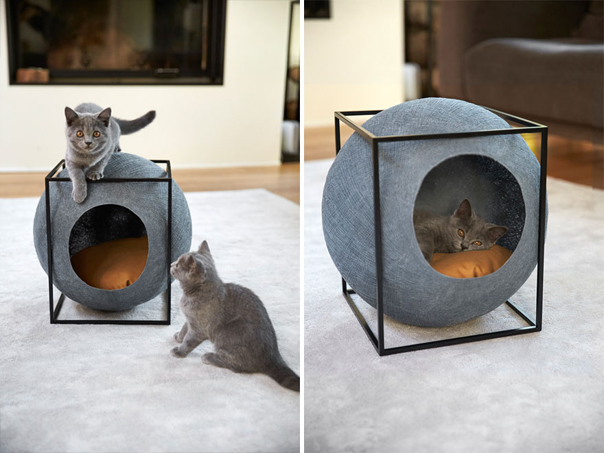 Cápsulas para gatos diseñadas para interiores modernos y construidas por personas discapacitadas