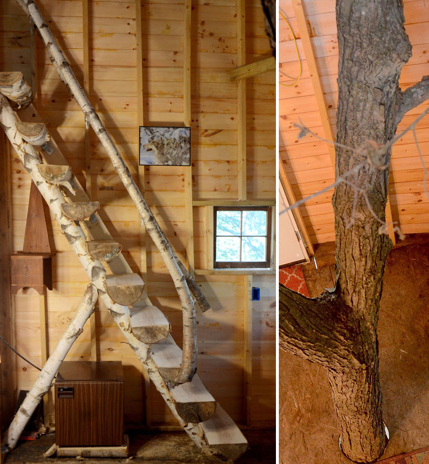 Este abuelo construyó para sus nietos una casa del árbol de 3 pisos y 12 metros