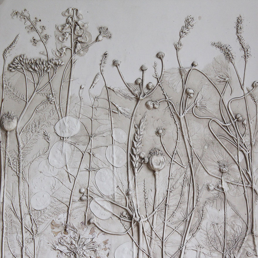 Esta artista crea flores fósiles haciendo moldes de plantas en escayola