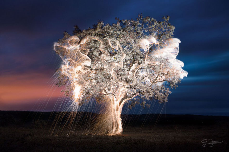 La luz gotea de los árboles en las fotos de larga exposición de Vitor Schietti