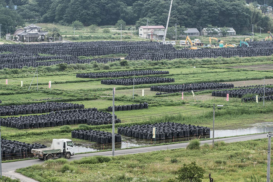 Estas imágenes nunca vistas muestran la zona de exclusión de Fukushima devorada por la naturaleza