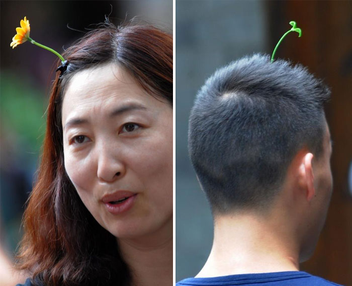 Las horquillas para el pelo con plantas son la última moda en China