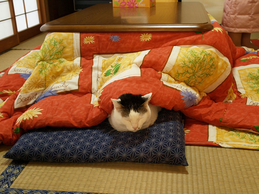 kotatsu-mesa-cama-japonesa-calefaccion (4)