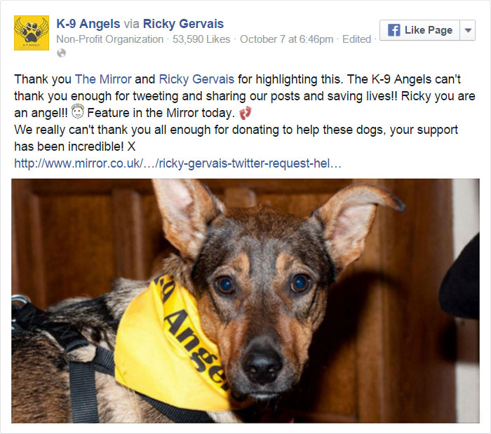 Un tuit de Ricky Gervais salva a 650 perros hambrientos y abandonados