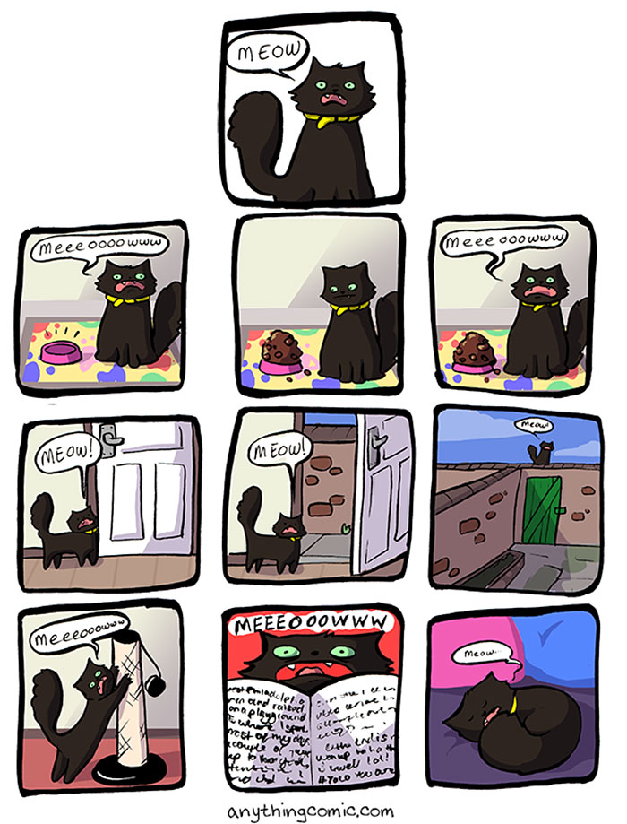 19 Cómics que resumen perfectamente cómo es vivir con gatos