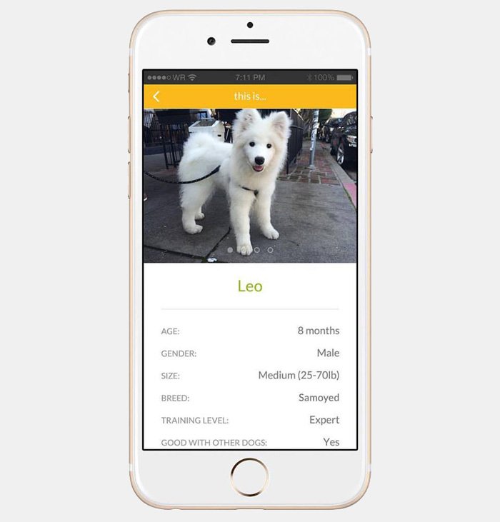 Esta nueva aplicación te permite tomar un perro prestado para pasearlo y jugar